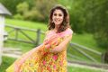 Actress Nayanthara in Selvi Movie Stills