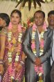 Senthil Son Hemachandra Prabhu Wedding Reception Photos