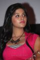 Actress Anjali at Settai Audio Launch Photos