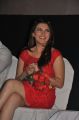 Hot Hansika Motwani at Settai Movie Audio Launch Photos