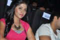 Settai Audio Release Anjali Stills