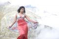Actress Anjali in Settai Tamil Movie Stills