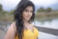 Actress Anjali in Settai Movie Stills