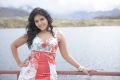 Actress Anjali in Settai Tamil Movie Stills