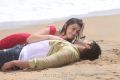 Arya, Hansika Motwani in Settai Tamil Movie Stills