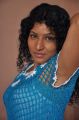 New Tamil Actress Shabina Stills at Suda Suda Press Meet