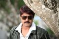 Actor Srikanth in Shadow Movie New Photos