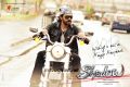 Victory Venkatesh Shadow Movie New Year 2013 Wishes Wallpapers
