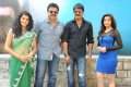 Shadow Telugu Movie Opening Pictures