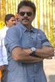 Victory Venkatesh @ Shadow Telugu Movie Opening Pictures