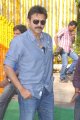 Victory Venkatesh @ Shadow Telugu Movie Opening Pictures