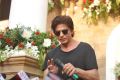 Actor Shahrukh Khan 49th Birthday Celebration Stills