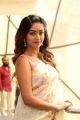 Sailaja Reddy Alludu Heroine Anu Emmanuel Interview Pics