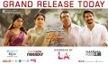 Anu Emmanuel, Ramya Krishnan, Naresh, Naga Chaitanya in Shailaja Reddy Alludu Movie Release Today Posters