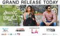 Anu Emmanuel, Naga Chaitanya in Shailaja Reddy Alludu Movie Release Today Posters