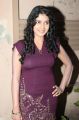 Tamil Actress Shalini Hot Photos in Dark Violet Tight Skirt
