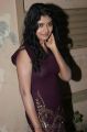 Tamil Actress Shalini Hot Photos