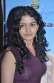 New Tamil Actress Shalini Hot Photos