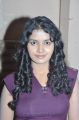 Tamil Actress Shalini Hot Photos