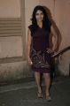 Actress Shalini Hot Photos at Unakku 20 Enakku 40 Audio Launch
