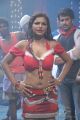 Shalini Naidu Hot Item Song Photos