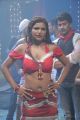 Shalini Naidu Hot Item Song Photos