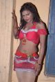 Shalini Naidu Spicy Hot Photos