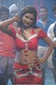 Telugu Item Girl Shalini Naidu Hot Spicy Photos