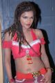 Shalini Naidu Hot Photos at Bakara Movie Press Meet