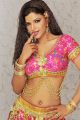 Actress Shalini Naidu Spicy Photoshoot Stills