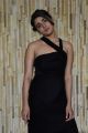 Actress Shalini Pandey Photos @ 118 Movie Success Meet