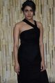Actress Shalini Pandey Photos @ 118 Movie Success Meet