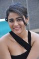 Actress Shalini Pandey Black Dress Photos @ 118 Success Meet