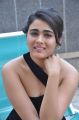 Actress Shalini Pandey Photos @ 118 Movie Success Meet