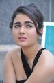 Actress Shalini Pandey Photos @ 118 Movie Success Meet