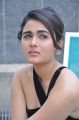 Actress Shalini Pandey Black Dress Photos @ 118 Success Meet