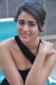 Actress Shalini Pandey Black Dress Photos @ 118 Success Meet