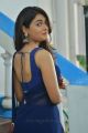 Actress Shalini Pandey Blue Saree Photos @ Jwala Movie Opening