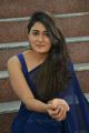 Jwala Movie Actress Shalini Pandey Blue Saree Photos