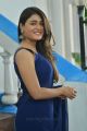 Actress Shalini Pandey Blue Saree Photos @ Jwala Movie Launch