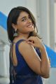 Actress Shalini Pandey Photos @ Jwala Movie Launch