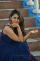 Jwala Movie Heroine Shalini Pandey Blue Saree Photos