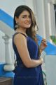 Jwala Movie Heroine Shalini Pandey Blue Saree Photos