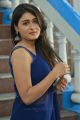 Jwala Movie Actress Shalini Pandey Blue Saree Photos