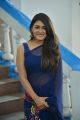 Actress Shalini Pandey Blue Saree Photos @ Jwala Movie Opening