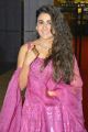 118 Movie Actress Shalini Pandey Photos