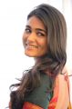Actress Shalini Pandey Pictures @  East Coast Productions No 1 Movie Launch