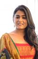 Actress Shalini Pandey Pictures @ NKR16 Movie Opening