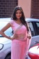 Actress Shalu Chourasiya Hot Pink Saree Photos