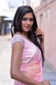 Actress Shalu Chourasiya in Pink Saree Photos